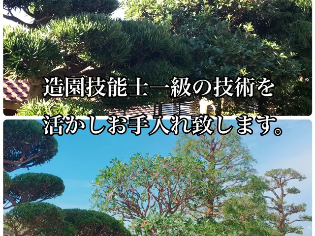 植木屋・彩ガーデンの福田と申します！お庭まわりの事なら何でもご相談下さい。サービスの画像