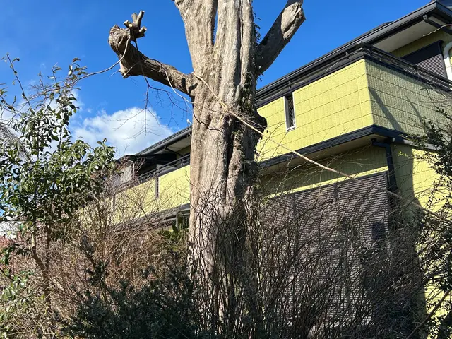 ◆年中無休◎自社スタッフが親切丁寧に対応します◎営業時間外も対応OK！サービスの画像