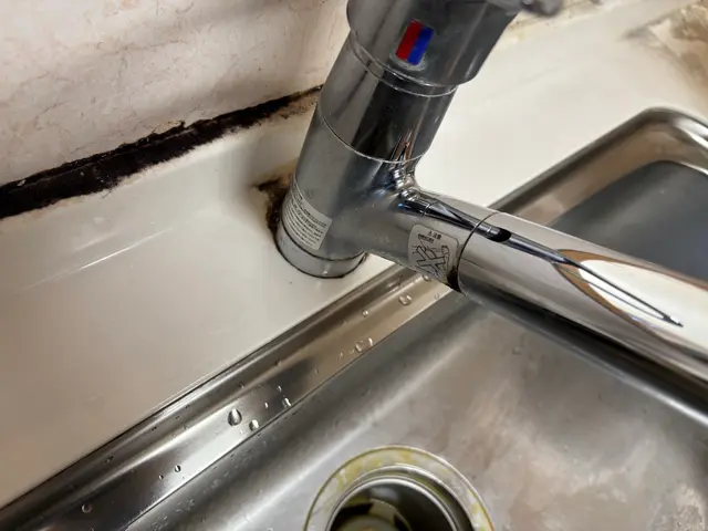 【1月4日から予約可】◎新春キャンペーン◎定価1.8万円◎保育園専門で清掃15年サービスの画像