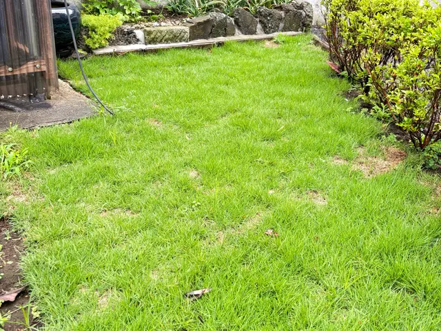 10月新出店◎丁寧で安心！細かく綺麗に仕上げます【伊東市】サービスの画像