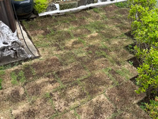 10月新出店◎丁寧で安心！細かく綺麗に仕上げます【伊東市】サービスの画像