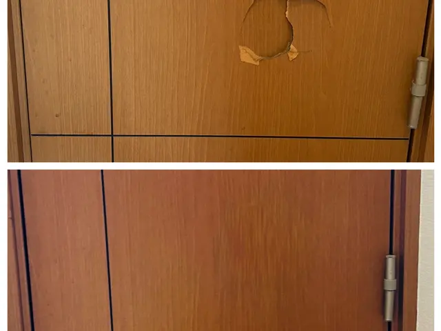 室内ドア(木部)リペア／補修サービスの画像