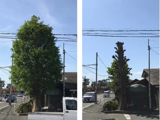 ＜業界歴10年の実績＞女性スタッフも活躍中♪損害保険加入済みで安心です！サービスの画像