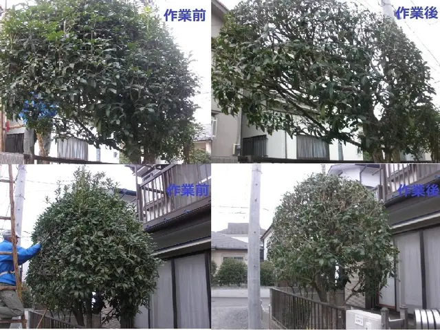 埼玉・東京西部★丁寧！綺麗！安心！信頼★ご不在でも作業は可能☆サービスの画像