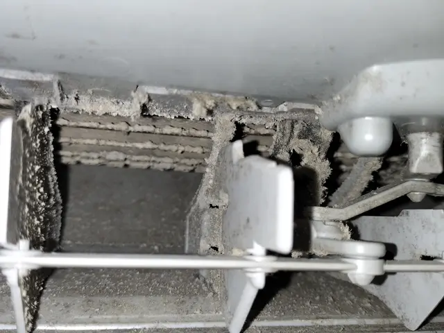 【★除菌消臭サービス中★】丁寧な作業を致します。サービスの画像