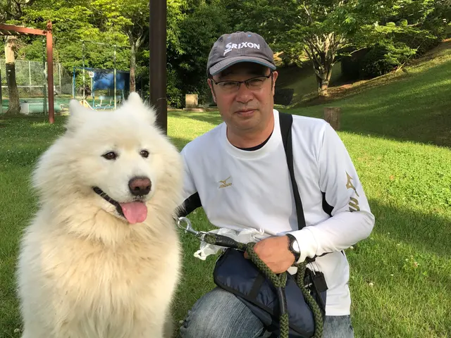 【兵庫県川西市中心に活躍】開業10年の豊富な経験と実績！安心してご依頼ください！サービスの画像