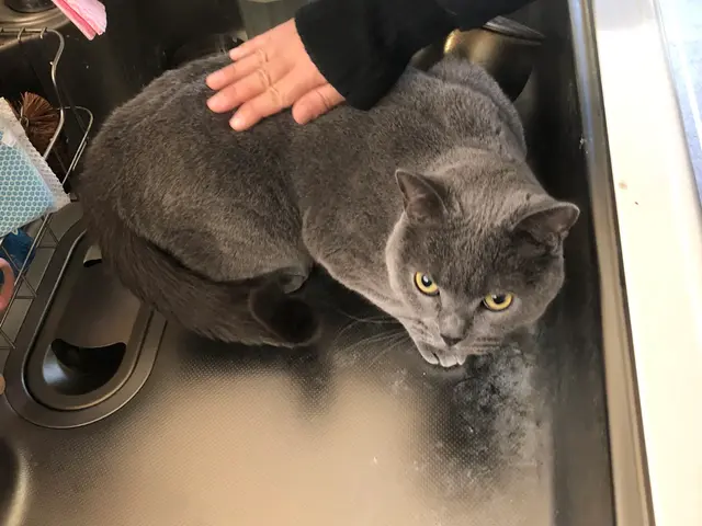 【兵庫県川西市中心に活躍】開業10年の豊富な経験と実績！安心してご依頼ください！サービスの画像