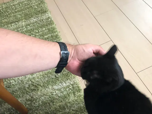 【兵庫県川西市中心に活躍】開業10年の豊富な経験と実績！安心してご依頼ください！サービスの画像