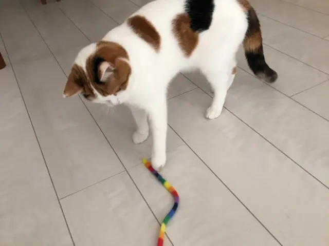 【兵庫県川西市中心に活躍】開業10年の豊富な経験と実績！安心してご依頼ください！サービスの画像