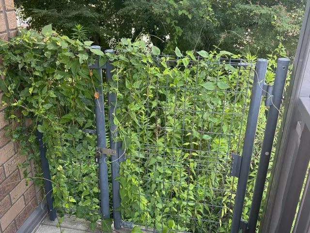 伸び放題のお庭も、プロの草刈りでスッキリ！立ち合いなしでも可能です！サービスの画像