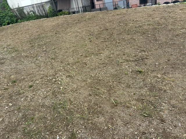 伸び放題のお庭も、プロの草刈りでスッキリ！立ち合いなしでも可能です！サービスの画像