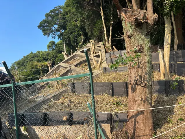 伸び放題のお庭も、プロの草刈りでスッキリ！立ち合いなしでも可能です！サービスの画像