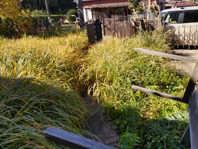 草刈り（草刈り機）サービスの画像