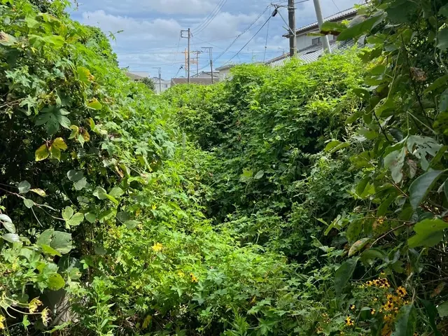 便利屋として幅広く対応　迅速・丁寧！対応地域外もご相談可能サービスの画像