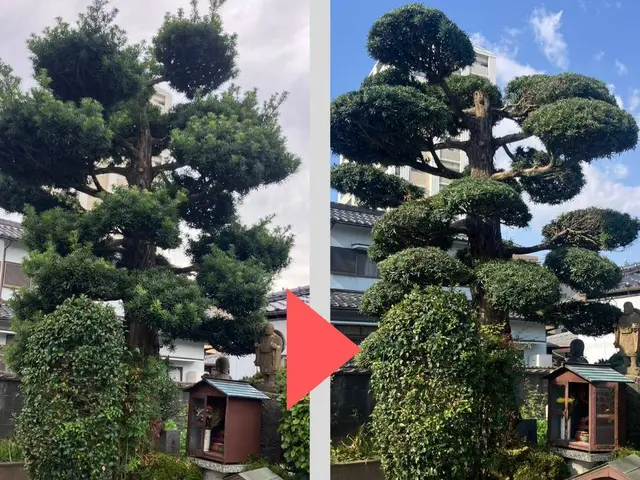 庭木の剪定・伐採対応◎安心の地域密着サービスサービスの画像