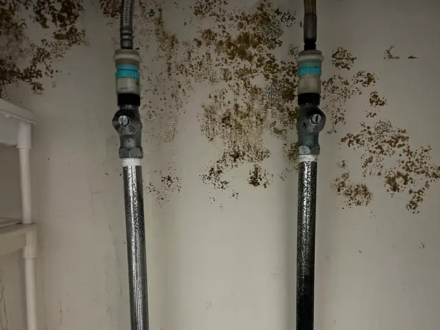 【業歴20年の実績】◎即日対応可能◎損害保険加入◎インボイス対応◎出張費ナシサービスの画像