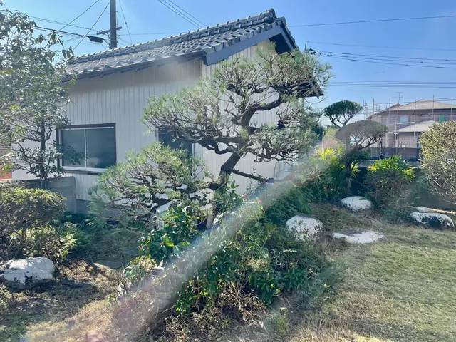 透かし剪定でお庭に木漏れ日を！花の終わった木のお手入れお早めに！サービスの画像