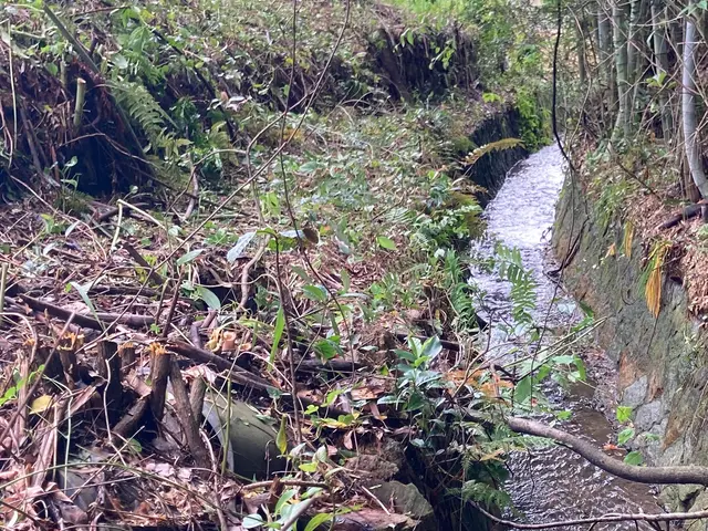 【業歴17年の経験と実績】対応地域外も対応OK！迅速丁寧に仕上げます！サービスの画像