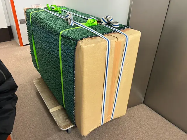 吉兆が舞い込むと話題・縁起引越大吉便のうれしい荷造り、荷解き・片付けサポートサービスの画像