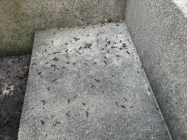 プロの技術でご満足いただけるように心を込めて作業いたしますサービスの画像