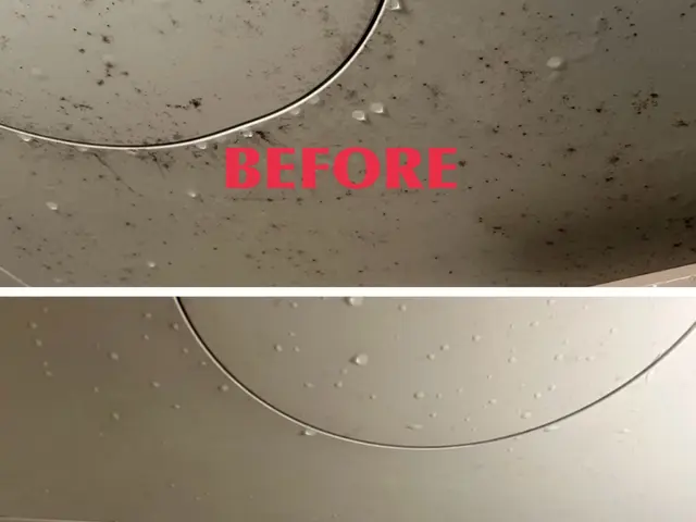 年末年始までに綺麗にピカピカにサービスの画像