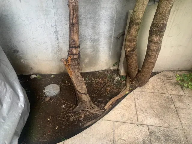 お客様のお力になります！経験と知識を活かして迅速丁寧に作業いたしますサービスの画像