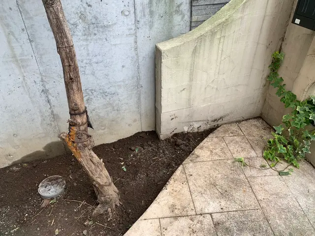 お客様のお力になります！経験と知識を活かして迅速丁寧に作業いたしますサービスの画像