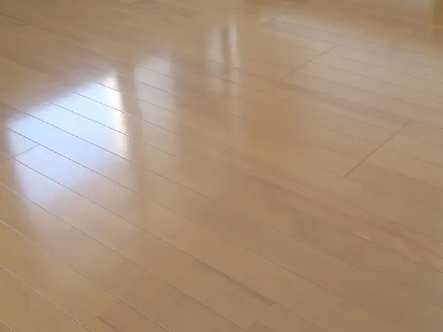 フロアマルチコーティング　女性スタッフ指定可能サービスの画像