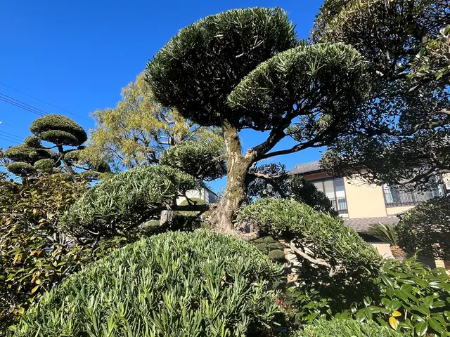 お客様のお力になります！経験と知識を活かして迅速丁寧に作業いたします！サービスの画像