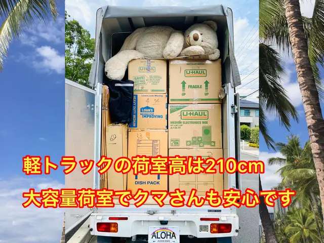 顧客の9割が女性＆クレーム0を継続中！　引越に関わる全てのお悩みを解決しますサービスの画像