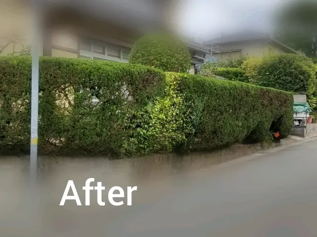 【12月1日以降空き日がございますのでお問い合わせ下さい！】女性スタッフ同行サービスの画像