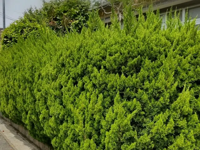 【12月1日以降空き日がございますのでお問い合わせ下さい！】女性スタッフ同行サービスの画像