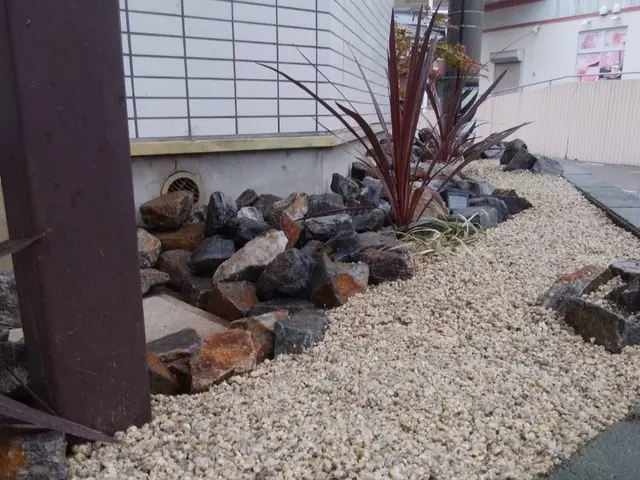 【12月1日以降空き日がございますのでお問い合わせ下さい！】女性スタッフ同行サービスの画像