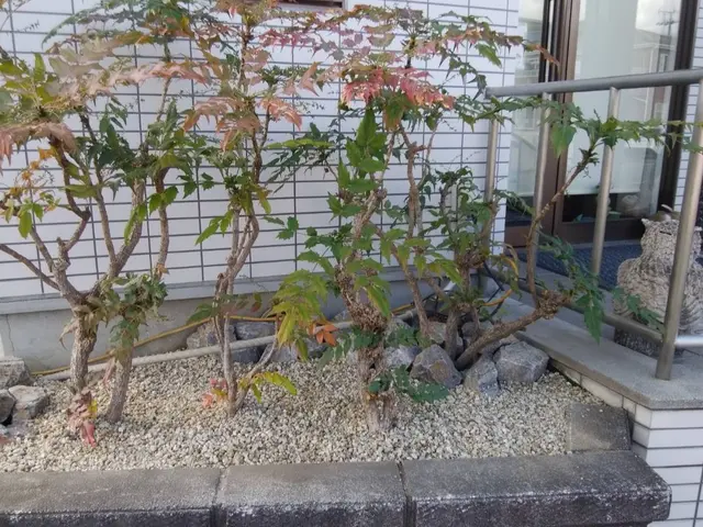 【12月1日以降空き日がございますのでお問い合わせ下さい！】女性スタッフ同行サービスの画像