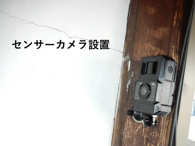 常にお客様の立場で対応しております◎不安材料ありましたら遠慮せず申し付け下さいサービスの画像
