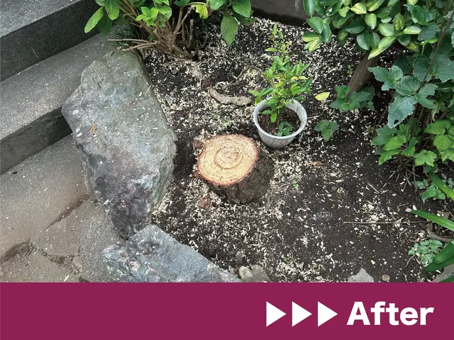 迅速丁寧な作業でお客様のお庭を綺麗にします！サービスの画像