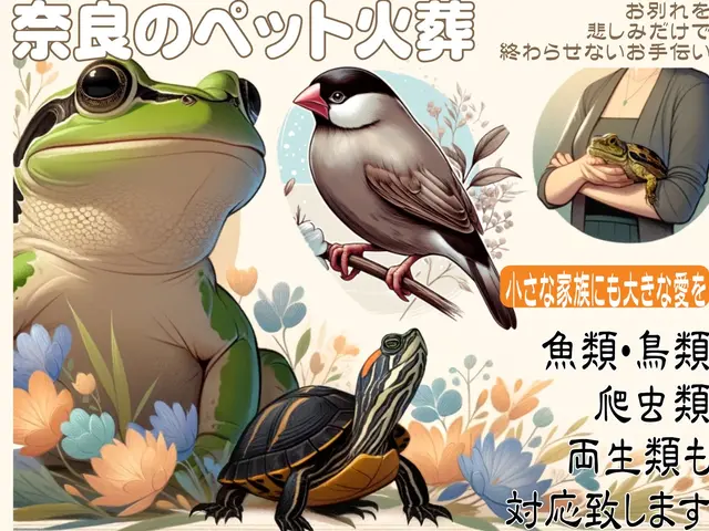 お別れを悲しみだけで終わらせないお手伝い。500件以上の実績、立会い可能ですサービスの画像