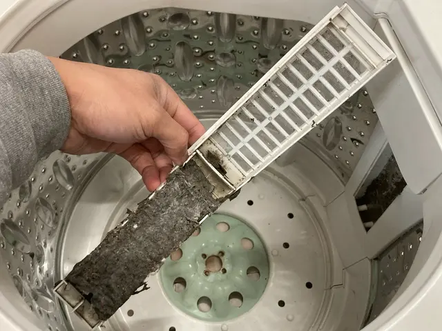 【女性スタッフ同行可】洋服のニオイ気になりませんか？洗濯槽のカビ汚れを徹底洗浄！サービスの画像