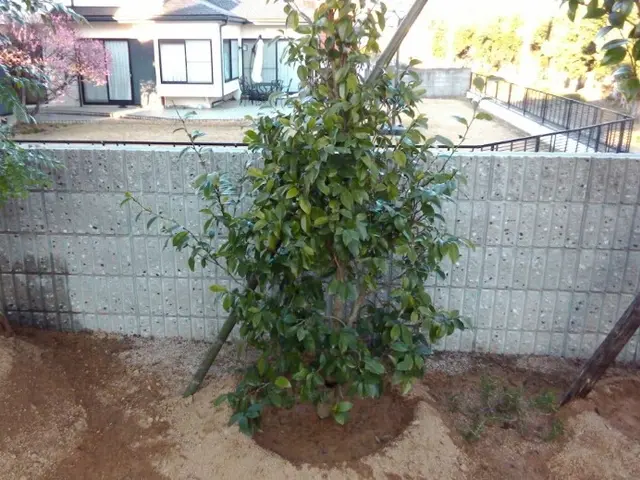 【年中無休】土日祝もご予約大歓迎◆大坂府泉州中心・地域密着店舗◆サービスの画像