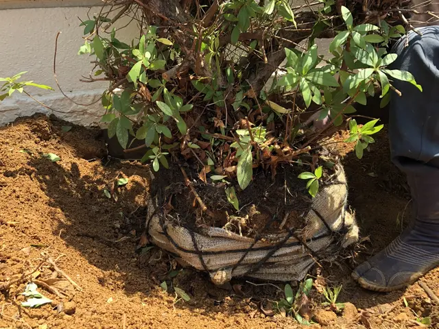 【年中無休】土日祝もご予約大歓迎◆大坂府泉州中心・地域密着店舗◆サービスの画像