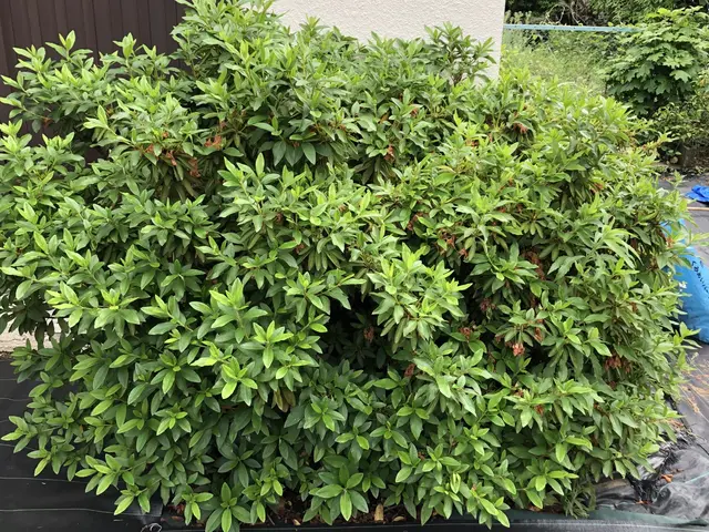 【年中無休】土日祝もご予約大歓迎◆大坂府泉州中心・地域密着店舗◆サービスの画像