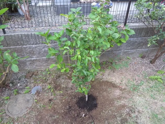 【年中無休】土日祝もご予約大歓迎◆大坂府泉州中心・地域密着店舗◆サービスの画像