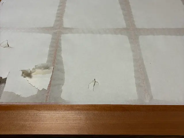 障子の張替えは、張替えの南部堂へサービスの画像