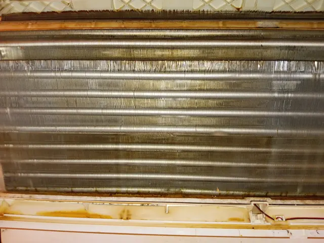 「エアコン内部の黒カビ徹底洗浄｜お掃除機能付き対応｜高圧洗浄」サービスの画像