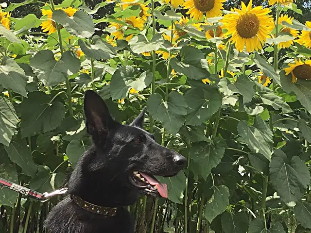 ＜女性スタッフ指定可能◎＞プロに任せて安心！ご要望をお聞かせください！サービスの画像