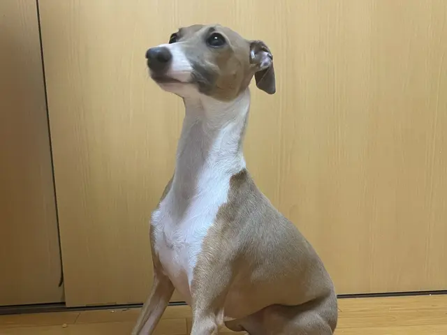 ＜女性スタッフ指定可能◎＞プロに任せて安心！ご要望をお聞かせください！サービスの画像