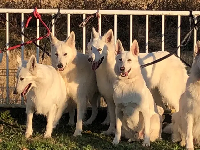 ＜女性スタッフ指定可能◎＞プロに任せて安心！ご要望をお聞かせください！サービスの画像