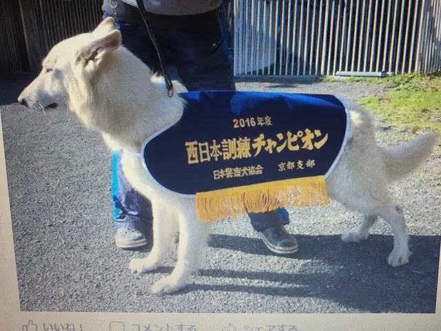 ＜女性スタッフ指定可能◎＞プロに任せて安心！ご要望をお聞かせください！サービスの画像