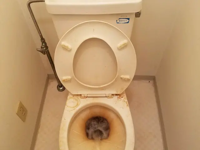 ★業界歴20年★しつこい汚れ徹底除去❢コロナ対策◎年間作業実績1500部屋以上❢サービスの画像