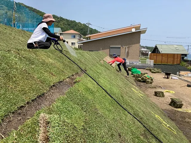 春・秋は芝張りのベストシーズン！今年こそ理想のグリーンに！サービスの画像